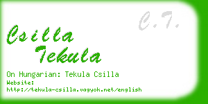 csilla tekula business card